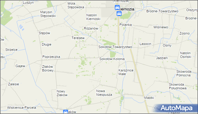 mapa Sokołów-Kolonia, Sokołów-Kolonia na mapie Targeo