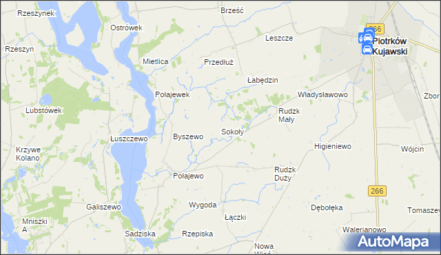 mapa Sokoły gmina Piotrków Kujawski, Sokoły gmina Piotrków Kujawski na mapie Targeo