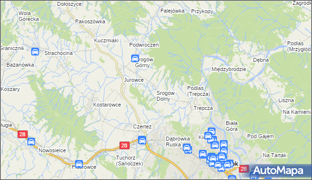 mapa Srogów Dolny, Srogów Dolny na mapie Targeo