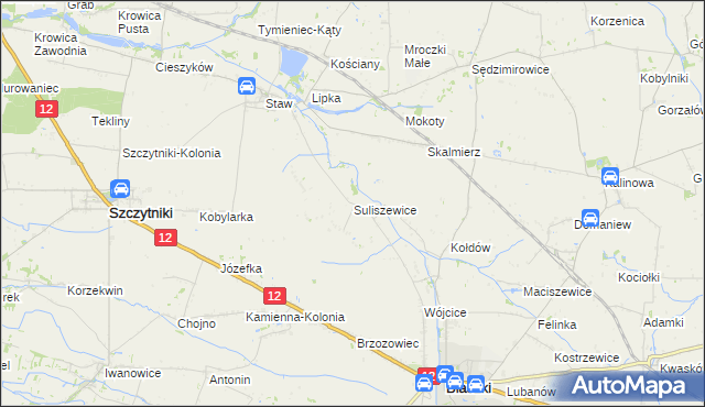 mapa Suliszewice gmina Błaszki, Suliszewice gmina Błaszki na mapie Targeo