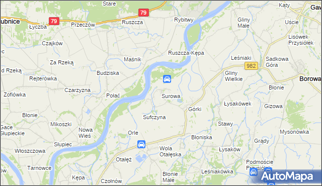 mapa Surowa gmina Borowa, Surowa gmina Borowa na mapie Targeo