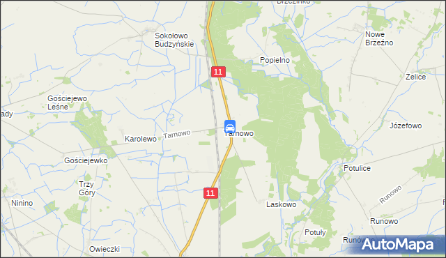 mapa Tarnowo gmina Rogoźno, Tarnowo gmina Rogoźno na mapie Targeo