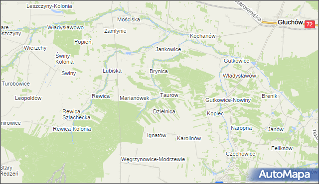 mapa Taurów, Taurów na mapie Targeo