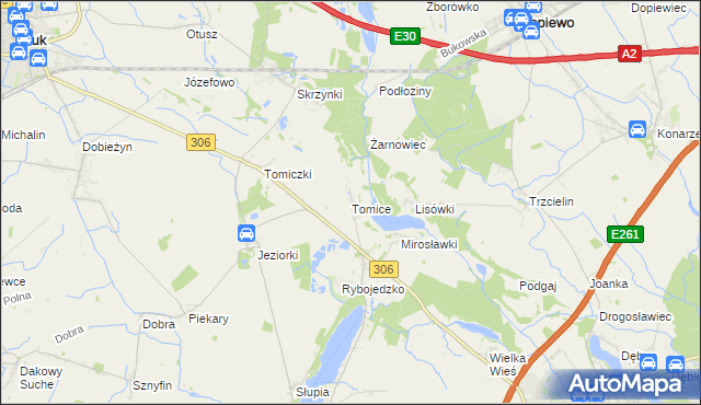 mapa Tomice gmina Stęszew, Tomice gmina Stęszew na mapie Targeo