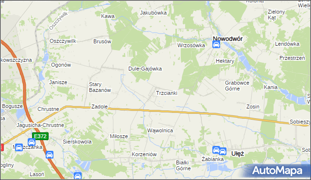 mapa Trzcianki gmina Nowodwór, Trzcianki gmina Nowodwór na mapie Targeo