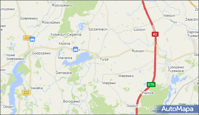 mapa Turze gmina Tczew, Turze gmina Tczew na mapie Targeo