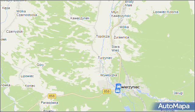 mapa Turzyniec gmina Zwierzyniec, Turzyniec gmina Zwierzyniec na mapie Targeo