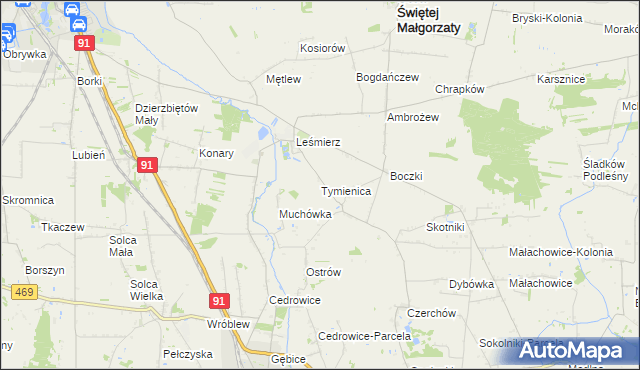 mapa Tymienica, Tymienica na mapie Targeo