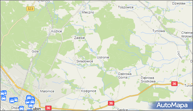 mapa Ustronie gmina Lubin, Ustronie gmina Lubin na mapie Targeo