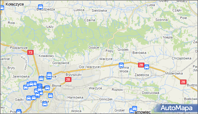 mapa Warzyce, Warzyce na mapie Targeo