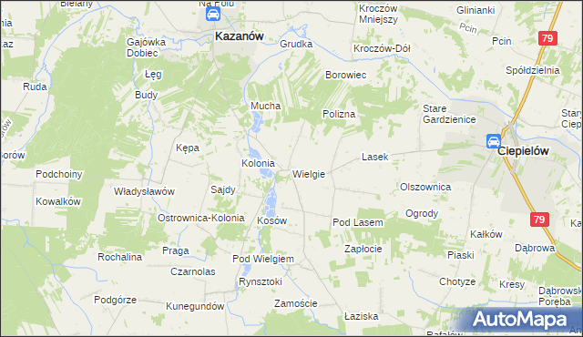 mapa Wielgie gmina Ciepielów, Wielgie gmina Ciepielów na mapie Targeo