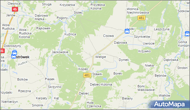 mapa Wielgie gmina Ostrówek, Wielgie gmina Ostrówek na mapie Targeo