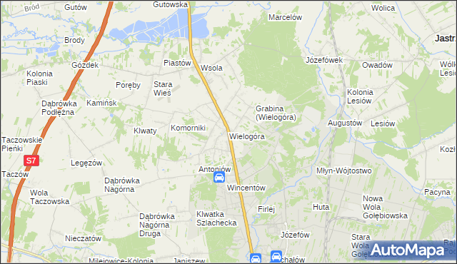 mapa Wielogóra gmina Jedlińsk, Wielogóra gmina Jedlińsk na mapie Targeo