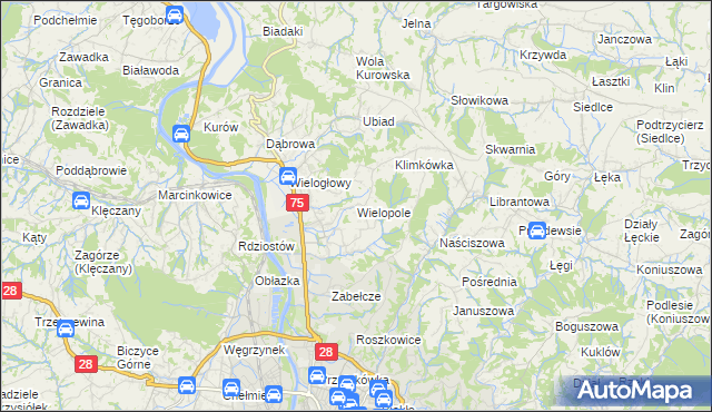 mapa Wielopole gmina Chełmiec, Wielopole gmina Chełmiec na mapie Targeo