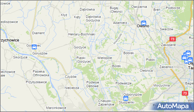 mapa Wielopole gmina Olesno, Wielopole gmina Olesno na mapie Targeo