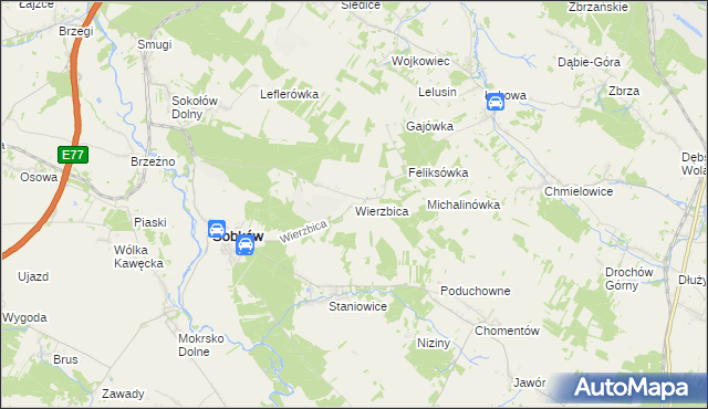 mapa Wierzbica gmina Sobków, Wierzbica gmina Sobków na mapie Targeo