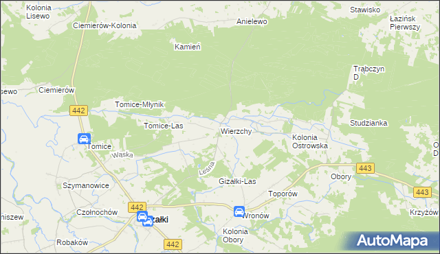 mapa Wierzchy gmina Gizałki, Wierzchy gmina Gizałki na mapie Targeo