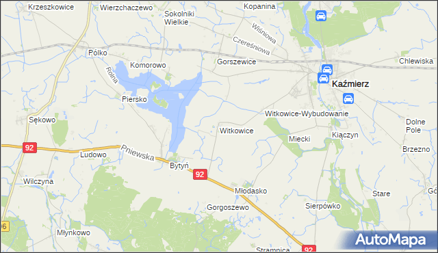 mapa Witkowice gmina Kaźmierz, Witkowice gmina Kaźmierz na mapie Targeo