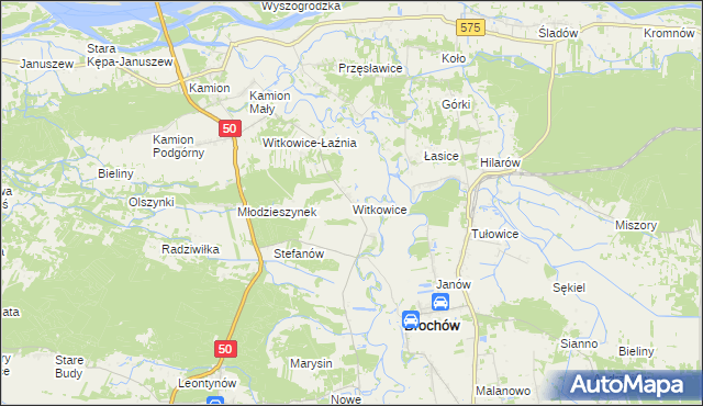 mapa Witkowice gmina Młodzieszyn, Witkowice gmina Młodzieszyn na mapie Targeo