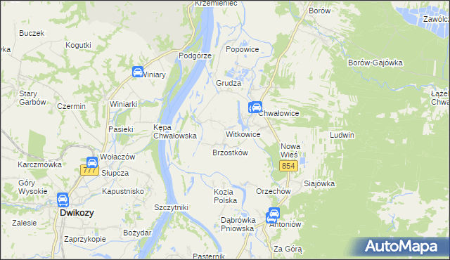 mapa Witkowice gmina Radomyśl nad Sanem, Witkowice gmina Radomyśl nad Sanem na mapie Targeo