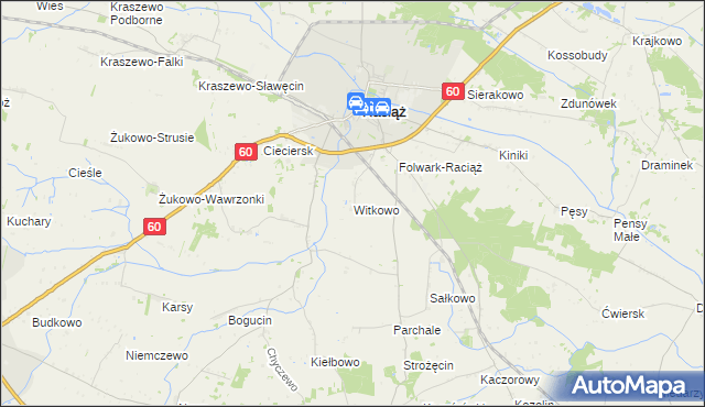 mapa Witkowo gmina Raciąż, Witkowo gmina Raciąż na mapie Targeo