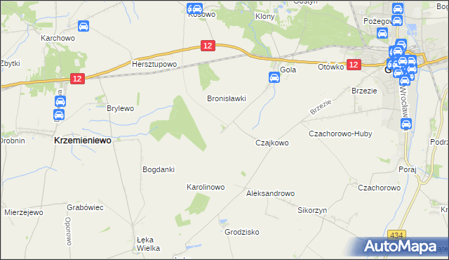 mapa Witoldowo gmina Gostyń, Witoldowo gmina Gostyń na mapie Targeo