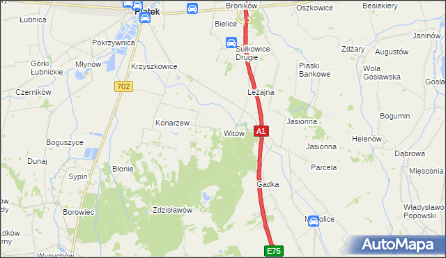 mapa Witów gmina Piątek, Witów gmina Piątek na mapie Targeo