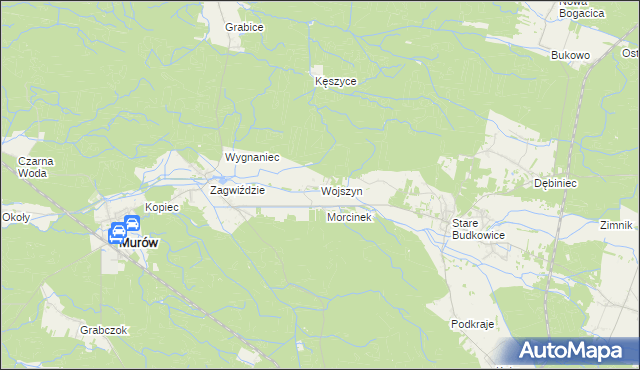 mapa Wojszyn gmina Murów, Wojszyn gmina Murów na mapie Targeo