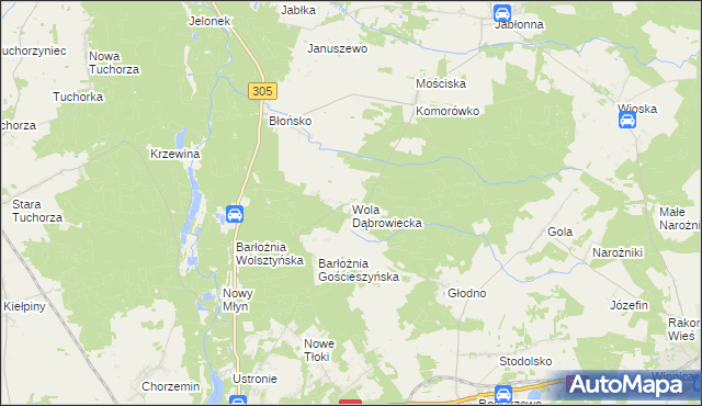 mapa Wola Dąbrowiecka, Wola Dąbrowiecka na mapie Targeo