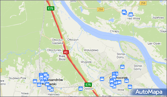 mapa Wołuszewo, Wołuszewo na mapie Targeo