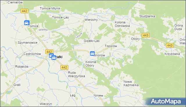 mapa Wronów gmina Gizałki, Wronów gmina Gizałki na mapie Targeo