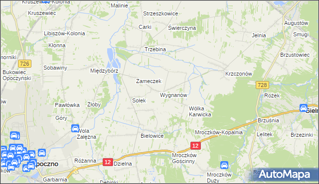 mapa Wygnanów gmina Opoczno, Wygnanów gmina Opoczno na mapie Targeo