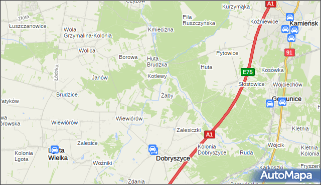 mapa Żaby gmina Dobryszyce, Żaby gmina Dobryszyce na mapie Targeo