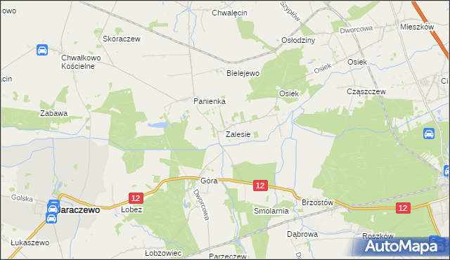 mapa Zalesie gmina Jaraczewo, Zalesie gmina Jaraczewo na mapie Targeo