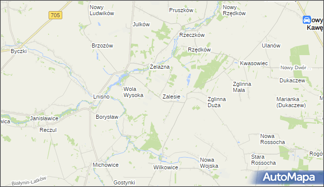 mapa Zalesie gmina Skierniewice, Zalesie gmina Skierniewice na mapie Targeo