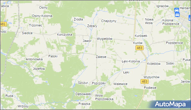 mapa Zalesie gmina Zelów, Zalesie gmina Zelów na mapie Targeo