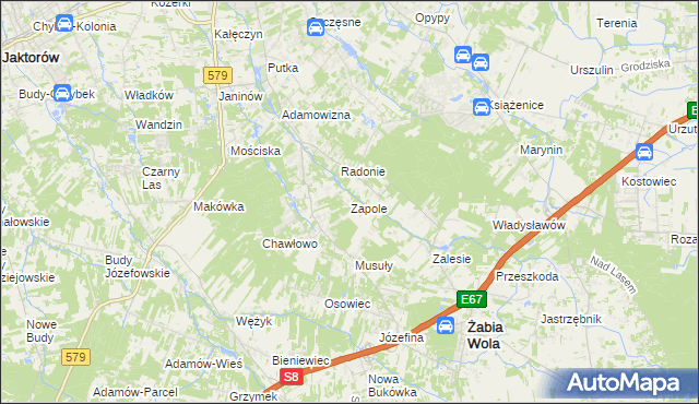 mapa Zapole gmina Grodzisk Mazowiecki, Zapole gmina Grodzisk Mazowiecki na mapie Targeo