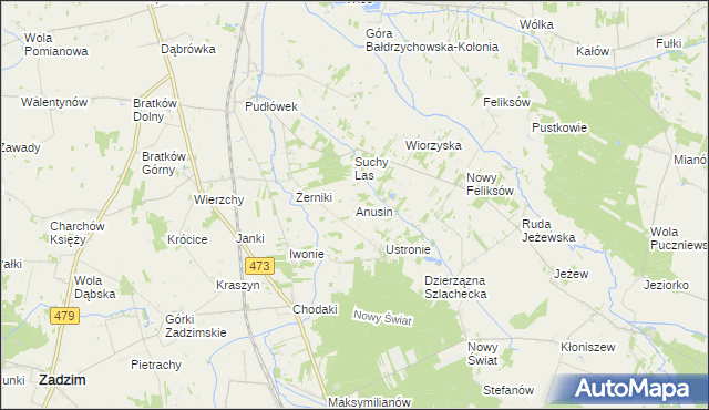 mapa Anusin gmina Zadzim, Anusin gmina Zadzim na mapie Targeo