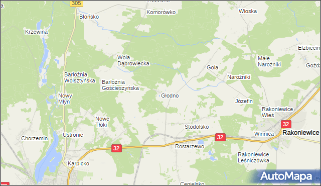 mapa Głodno gmina Rakoniewice, Głodno gmina Rakoniewice na mapie Targeo