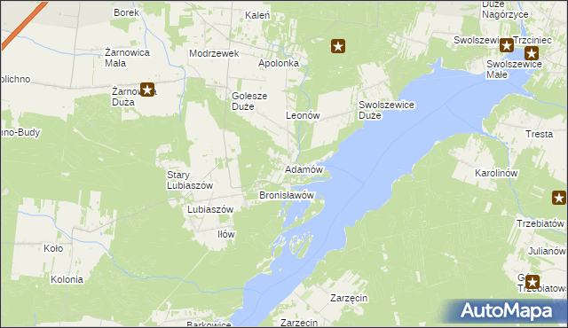 mapa Adamów gmina Wolbórz, Adamów gmina Wolbórz na mapie Targeo
