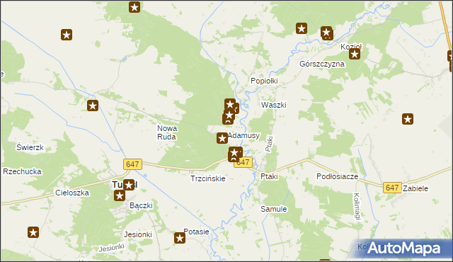 mapa Adamusy, Adamusy na mapie Targeo