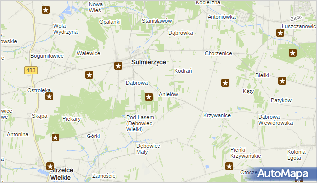 mapa Anielów gmina Sulmierzyce, Anielów gmina Sulmierzyce na mapie Targeo