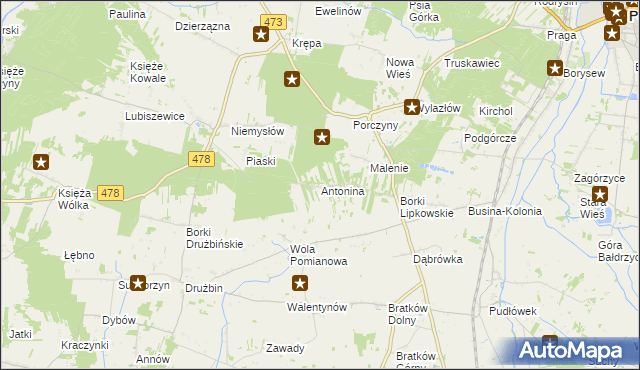 mapa Antonina gmina Poddębice, Antonina gmina Poddębice na mapie Targeo