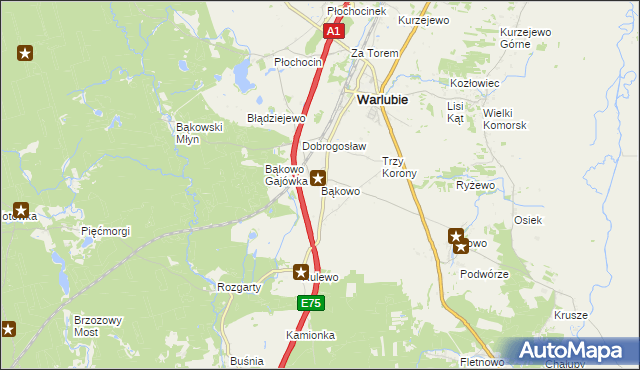 mapa Bąkowo gmina Warlubie, Bąkowo gmina Warlubie na mapie Targeo