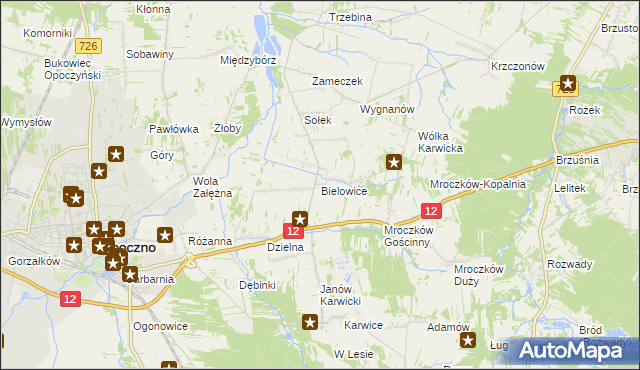 mapa Bielowice gmina Opoczno, Bielowice gmina Opoczno na mapie Targeo