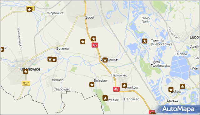 mapa Bieńkowice gmina Krzyżanowice, Bieńkowice gmina Krzyżanowice na mapie Targeo