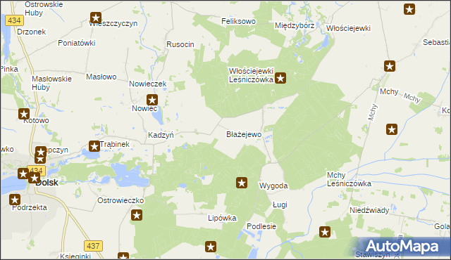 mapa Błażejewo gmina Dolsk, Błażejewo gmina Dolsk na mapie Targeo