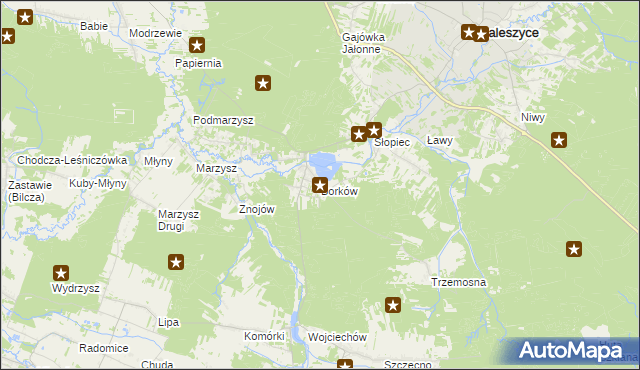 mapa Borków gmina Daleszyce, Borków gmina Daleszyce na mapie Targeo