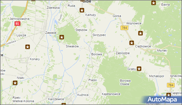 mapa Borowa gmina Gidle, Borowa gmina Gidle na mapie Targeo