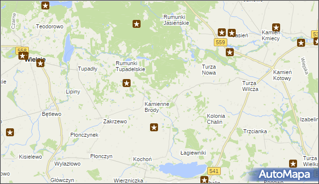 mapa Borowo gmina Tłuchowo, Borowo gmina Tłuchowo na mapie Targeo